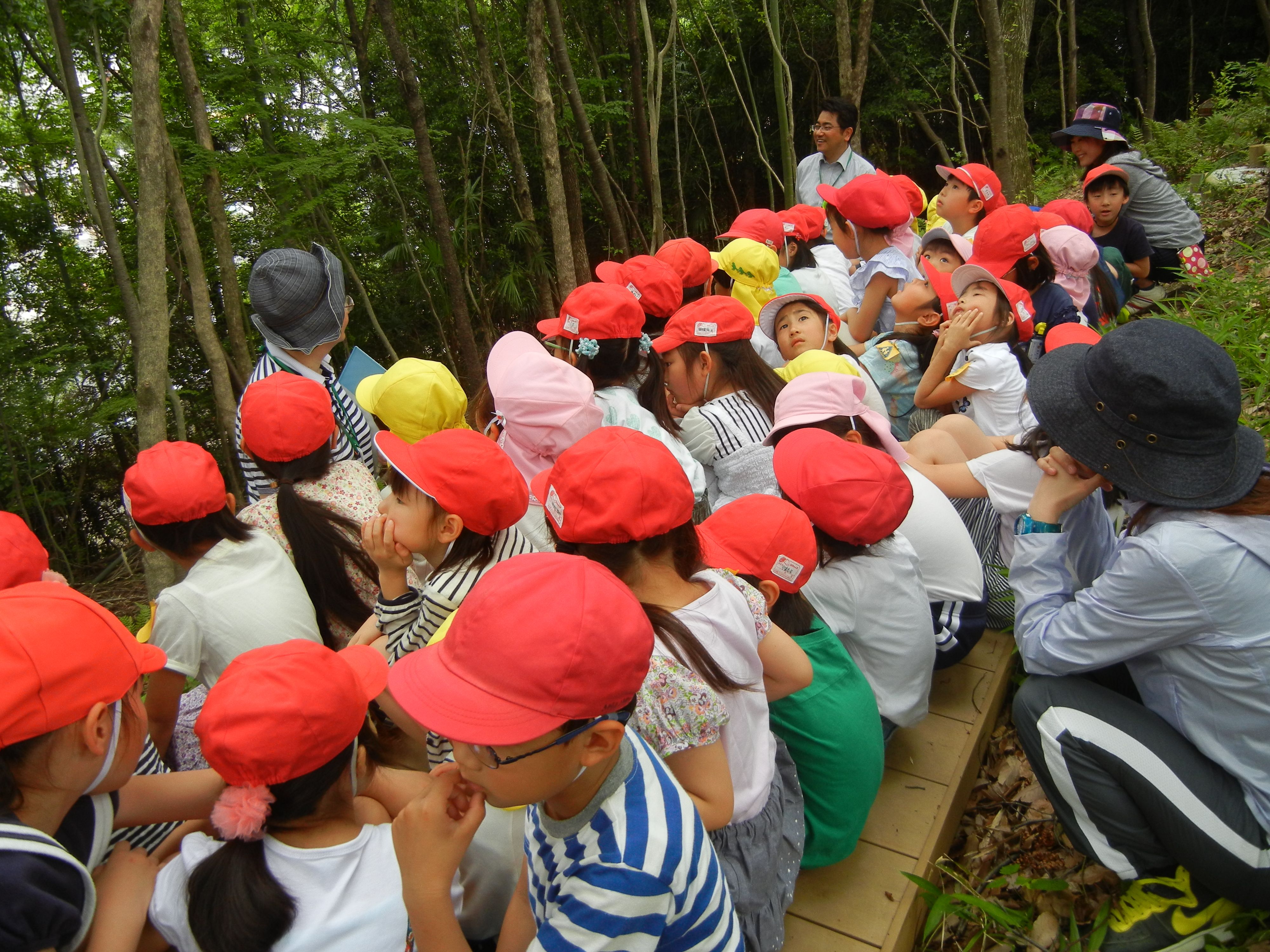 ぼうけんの森(小学校)の画像3