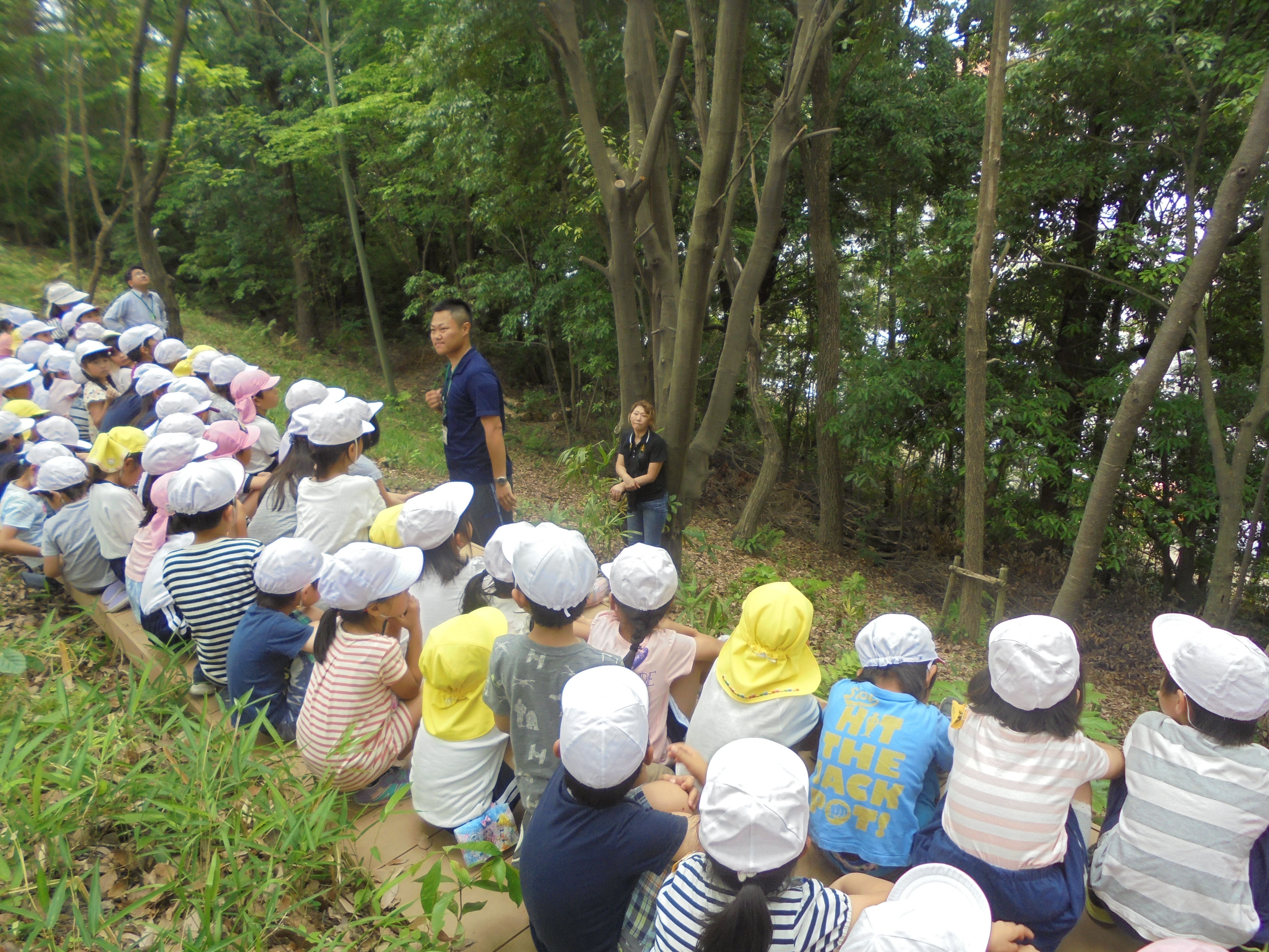 ぼうけんの森(小学校)の画像6