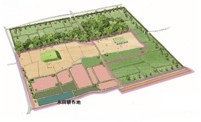国史跡 大安寺旧境内で田植え体験学習 ~史跡整備地の活用と学校教育のコラボレーションの画像1