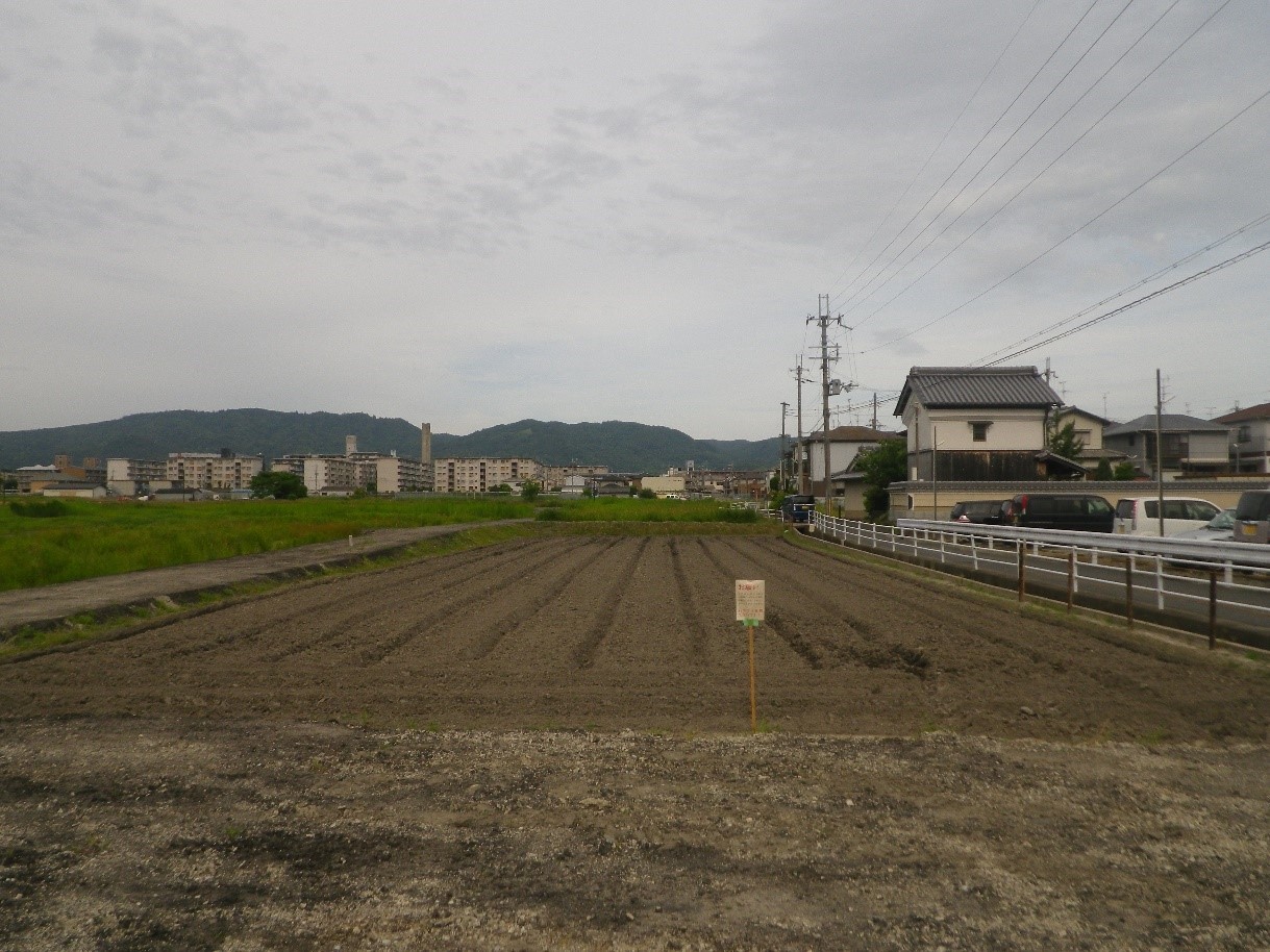 国史跡 大安寺旧境内で田植え体験学習 ~史跡整備地の活用と学校教育のコラボレーションの画像2