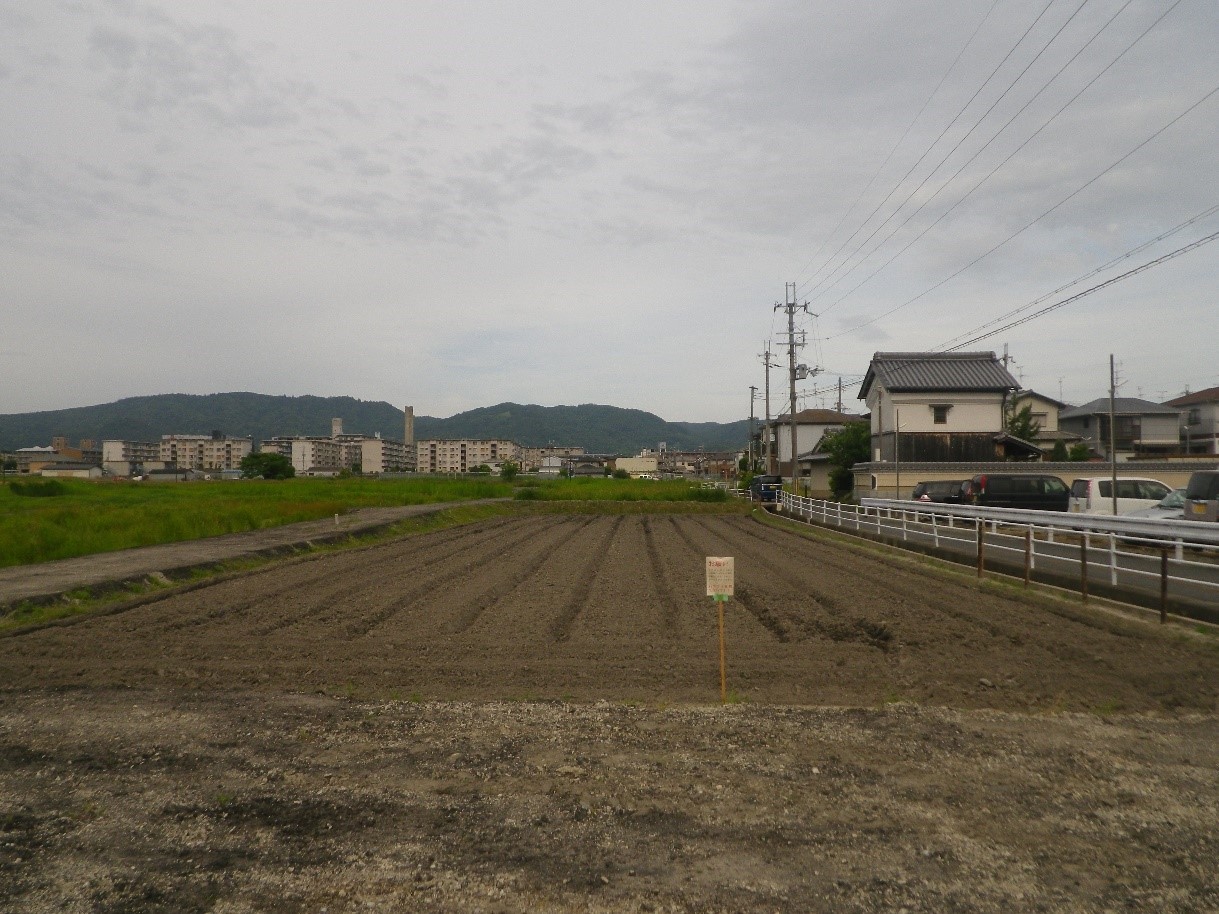 国史跡　大安寺旧境内で田植え体験学習 ～史跡整備地の活用と学校教育のコラボレーションの画像2