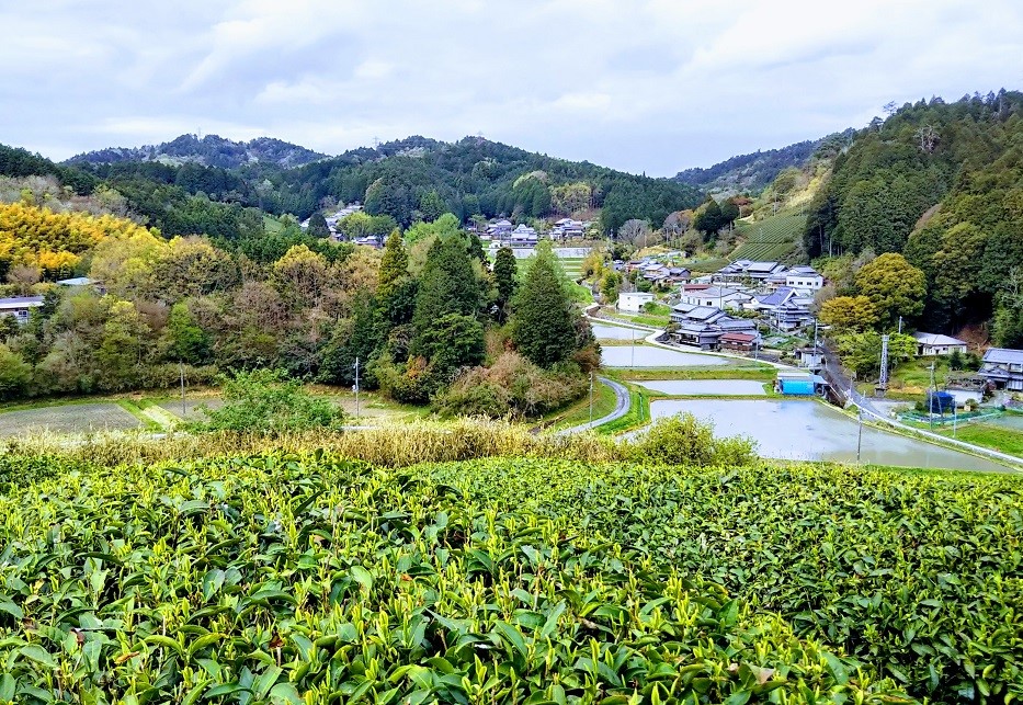 東部の風景画像