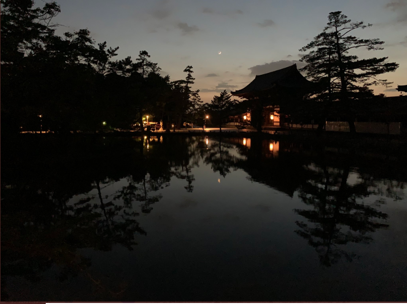 東大寺の写真