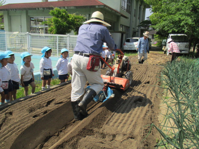 5月2日　　こいのぼり集会の画像11