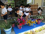 5月22日　生け花教室の画像2