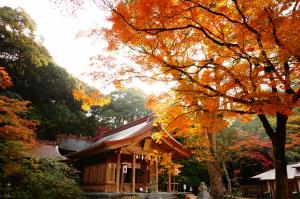 宝満宮竈門神社の写真