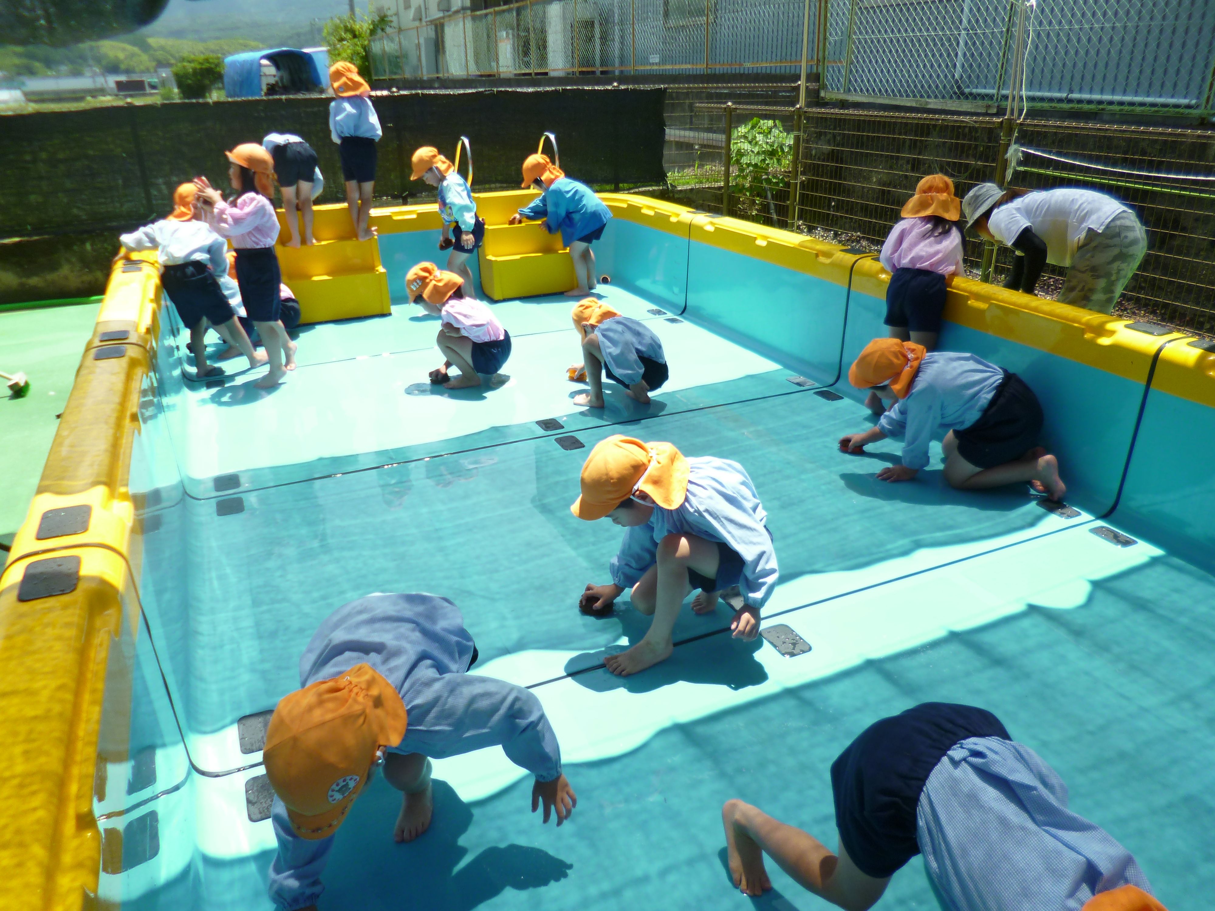 プール掃除がんばったよ！＜5歳児＞の画像2