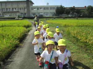 たいようぐみの子ども達が歩いています