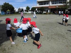 抜いた草をみんなで運ぶ4歳児