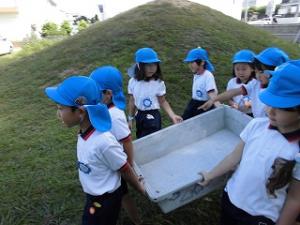 抜いた草をみんなで運ぶ5歳児