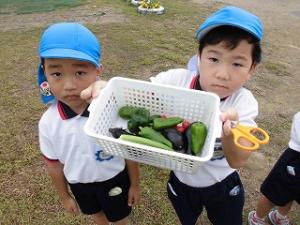 収穫した野菜を見せる5歳児