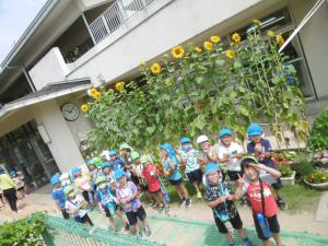 ヒマワリの花と男の子