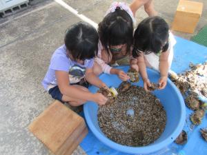 ヒマワリの種を取る子ども達