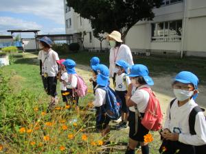小学校