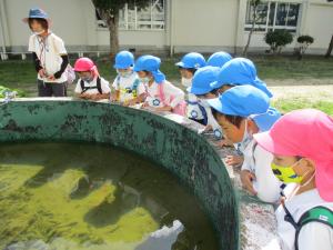 小学校