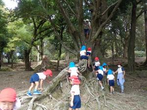 公園の木に登る子どもたち