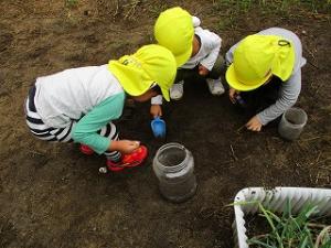 幼虫探し