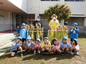 刈り取った稲の前で集合写真をとる5歳児