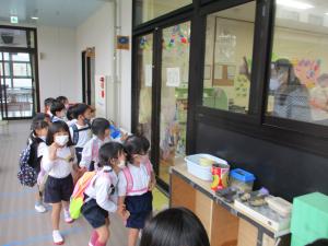3歳児園内散歩