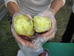 焼き芋