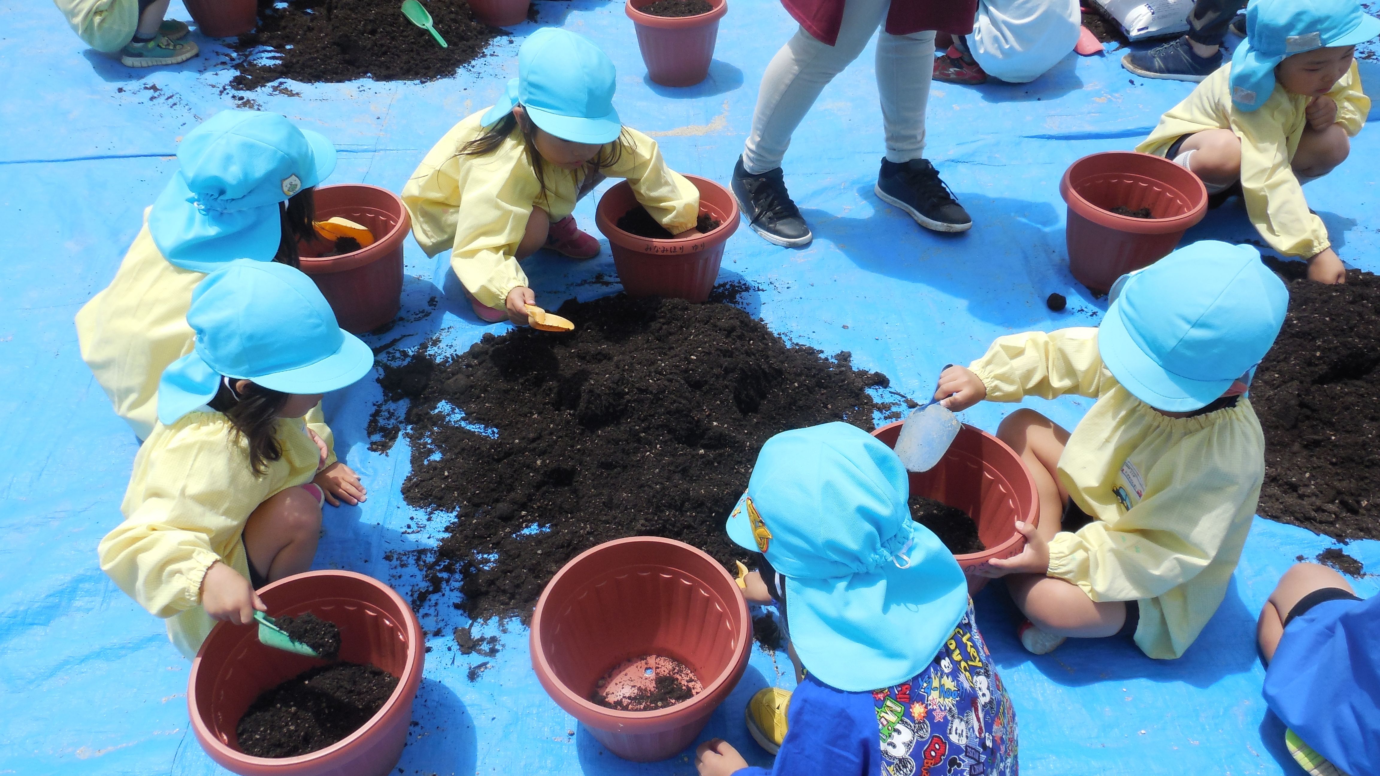 4歳児　植木鉢に土を入れています