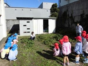 畑で先生から芋ほりの話を聞く園児たち