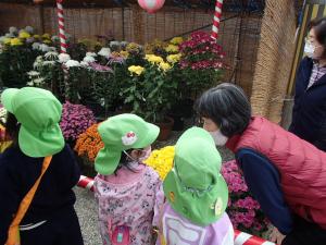 菊花展に行きました。