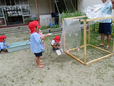 水鉄砲の画像2