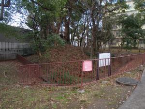 野神古墳全景