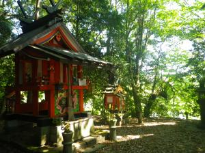 天神社社叢