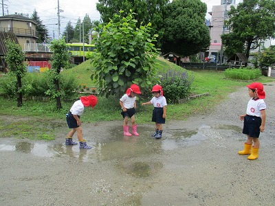 水たまりの画像1