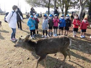 鹿寄せを待つ5歳児