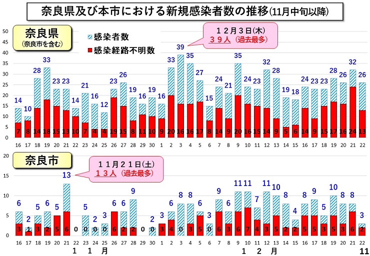 グラフ11