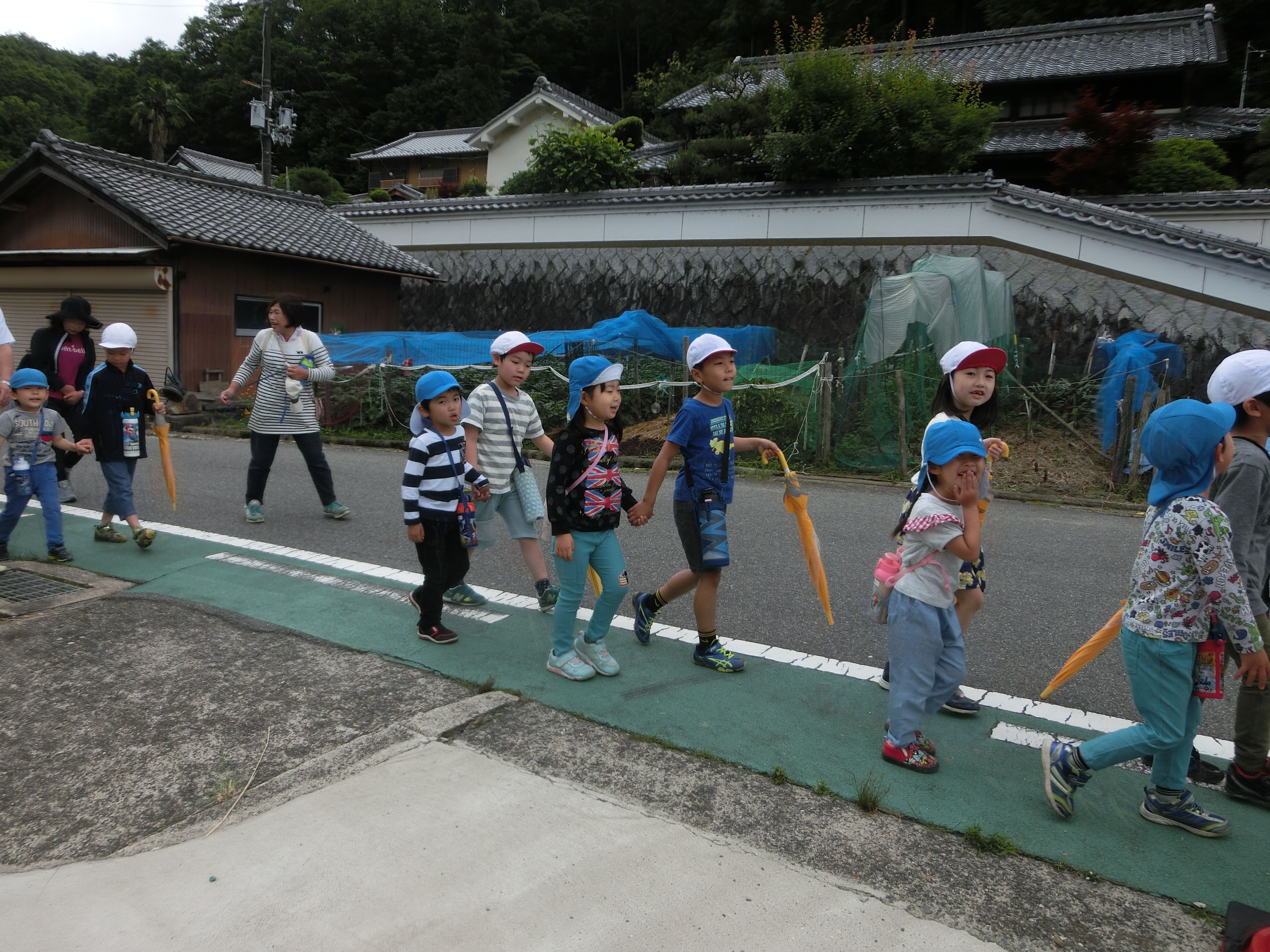 柳生小学校2年生と5歳児で菖蒲園見学に行きましたの画像1