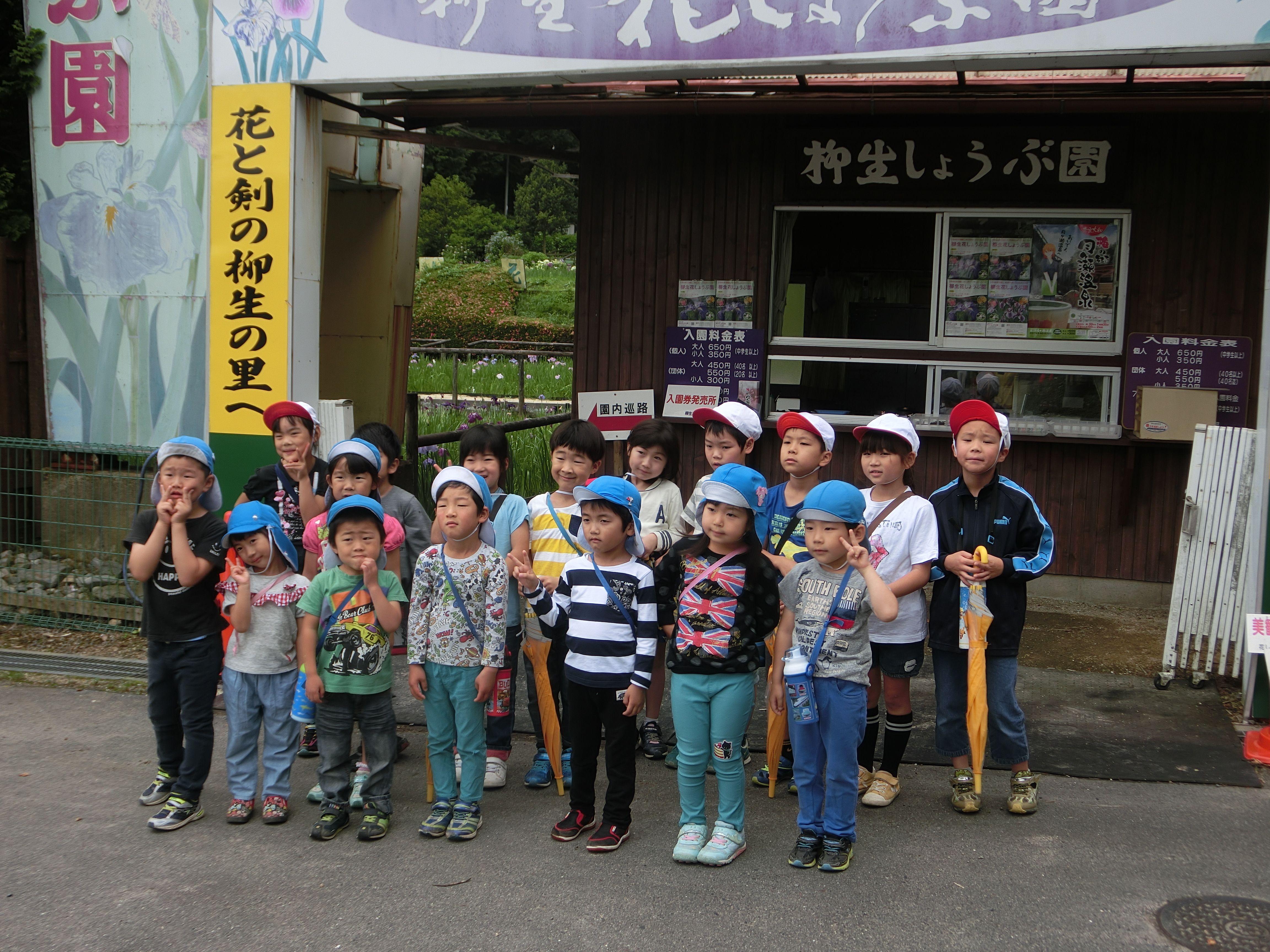 柳生小学校2年生と5歳児で菖蒲園見学に行きましたの画像2