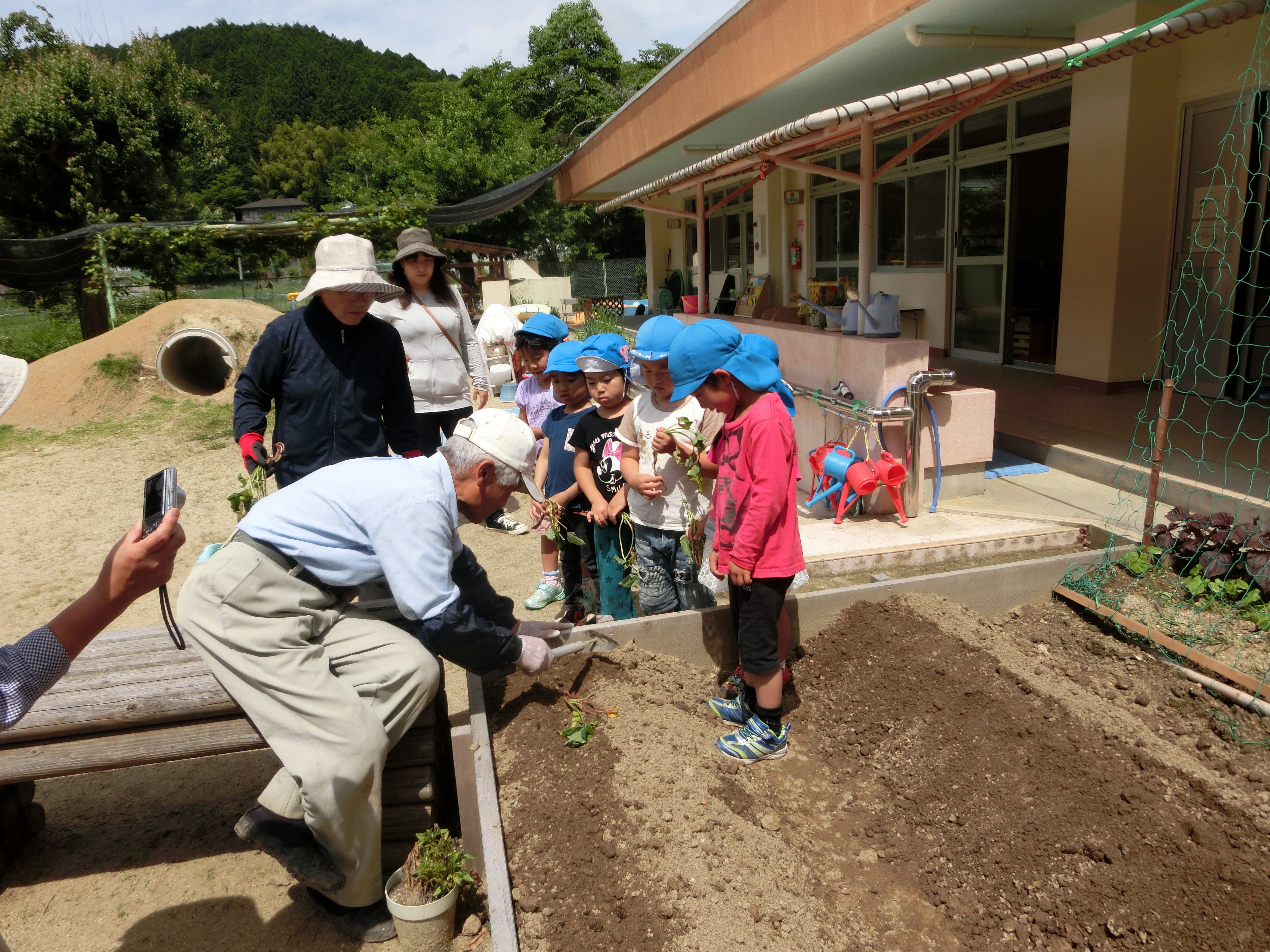 地域の方（コーディネーター）と一緒にみんなでさつま芋の苗植えをしましたの画像1