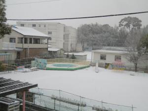 雪がふる園庭