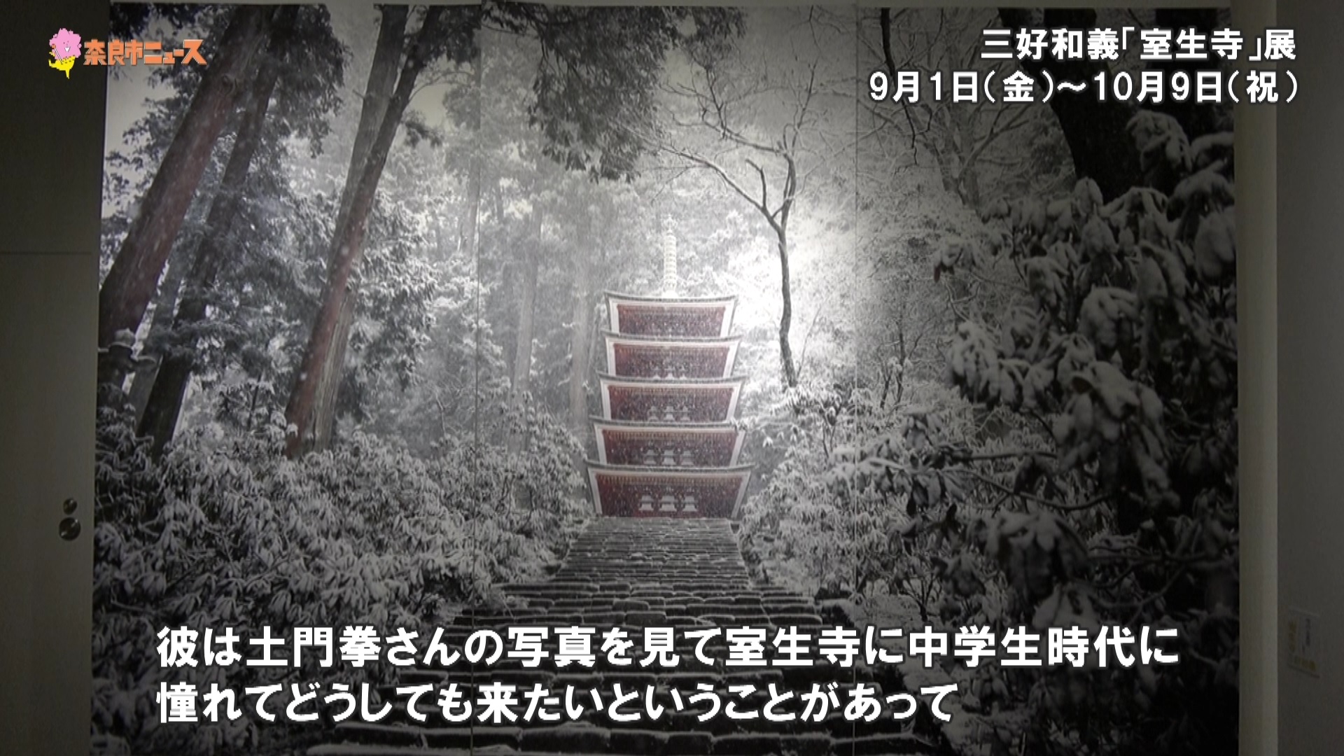 「奈良を視る」展　開催中!の画像