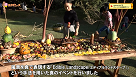 Nara Food Caravan Project　さまざまなイベントを開催!の画像