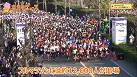 奈良マラソン2015&総合観光案内所リニューアルの画像