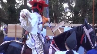 春日若宮おん祭の画像