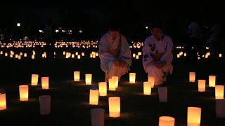 なら燈花会特集の画像