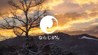 2月 冬の高円山の画像