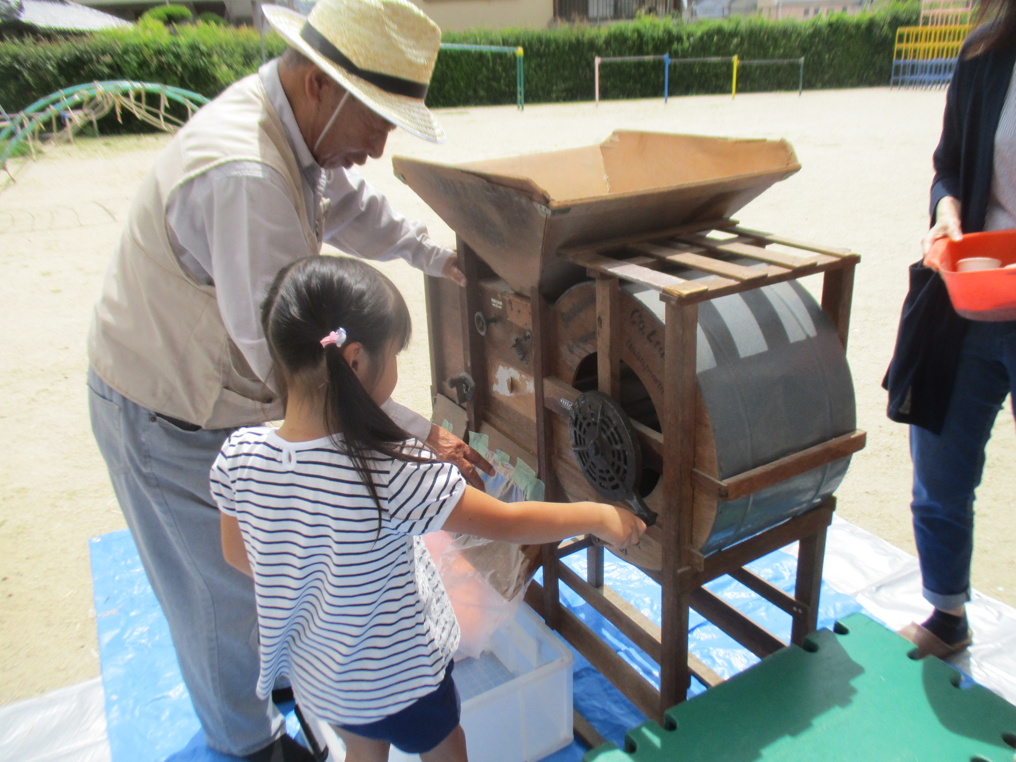 菜種油絞りの画像1