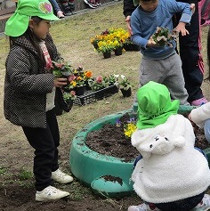 花植え