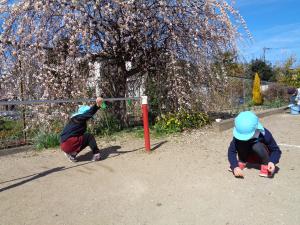 梅の花の下で