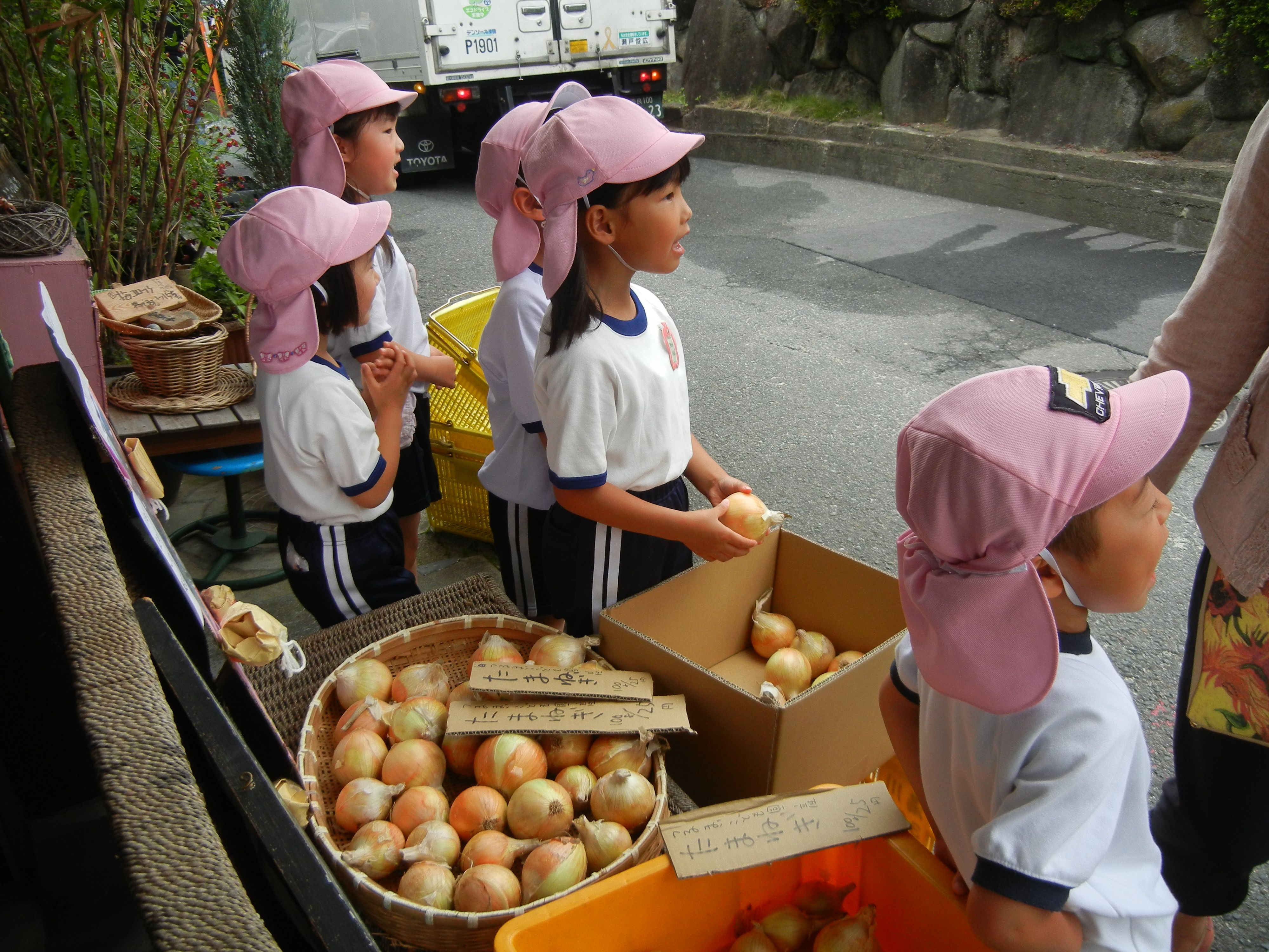 鶴舞こども園のたまねぎはいかがですか？の画像1