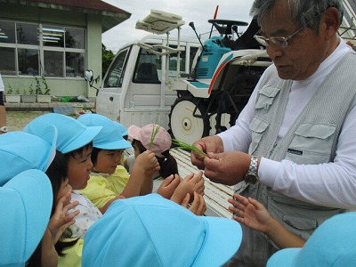 6月19日　田植えの画像1