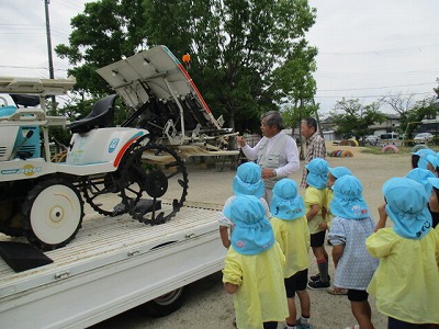 6月19日　田植えの画像4