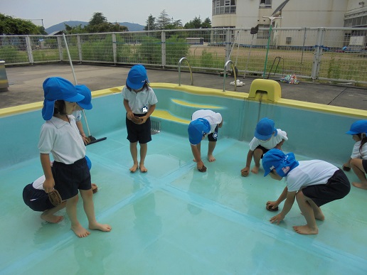 6月21日（木曜日）プール掃除、プール開きの画像１